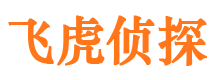 罗定市调查公司